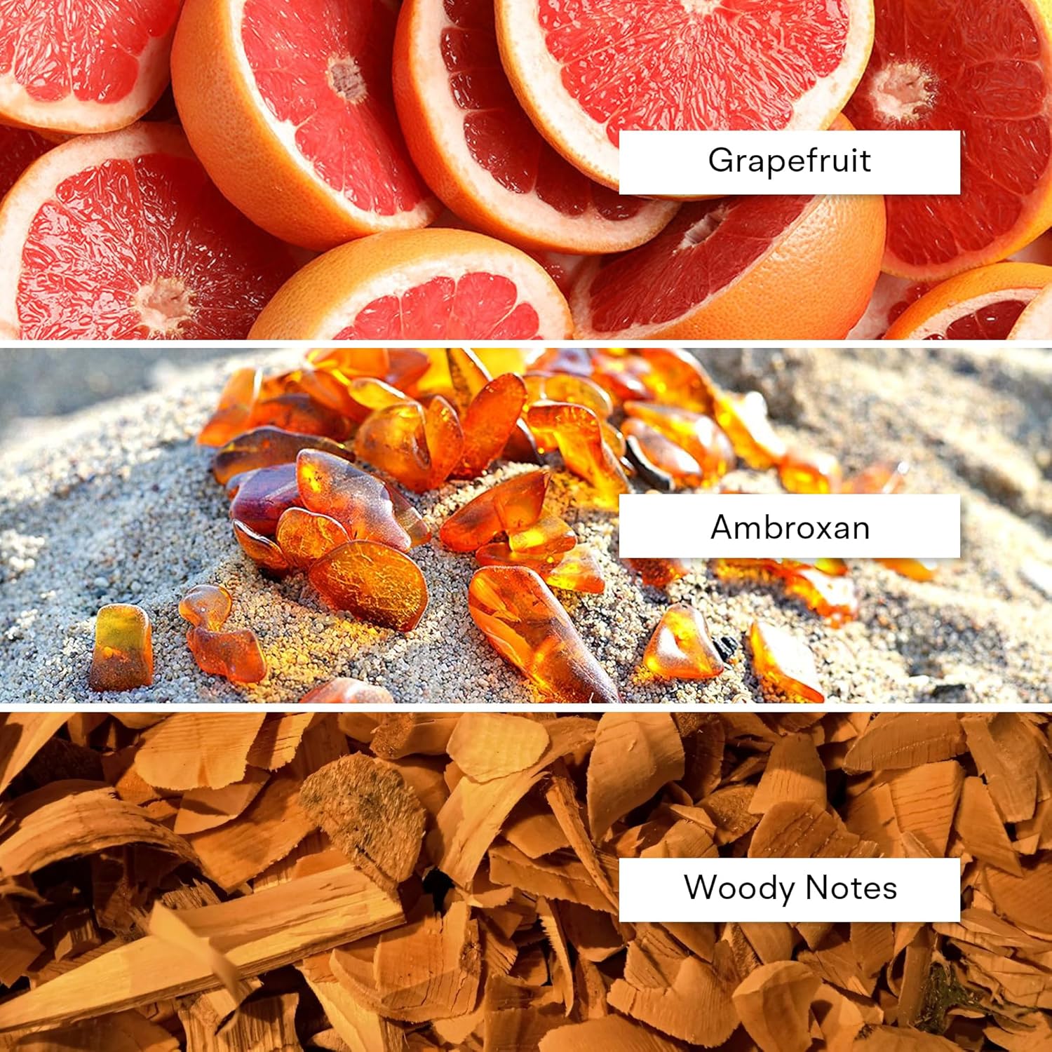 Alexandria Fragrances Black Panther Perfume - Long Lasting Eau de Parfum Inspired by Wood Notes - Luxury Men’s Parfum with Grapefruit, Ambroxan & Musk - Luxury Men’s Cologne for Every Occasion - 60ml