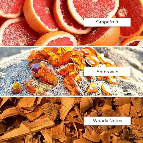 Miniatura 4 de Alexandria Fragrances Black Panther Perfume  Eau de Parfum de larga duración inspirado en notas de madera  Perfume de lujo para hombre con pomelo,