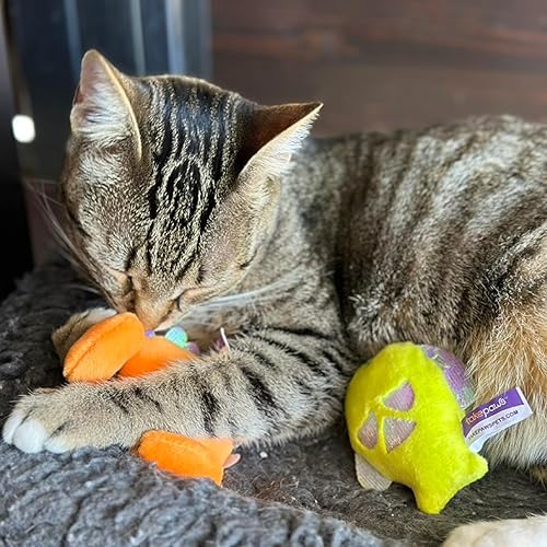 Miniatura 4 de Pounce & Purr Backyard Buggin' Ladybug - Juguete de peluche para gatos, interactivo, hierba gatera y vid plateada infundida con detalles