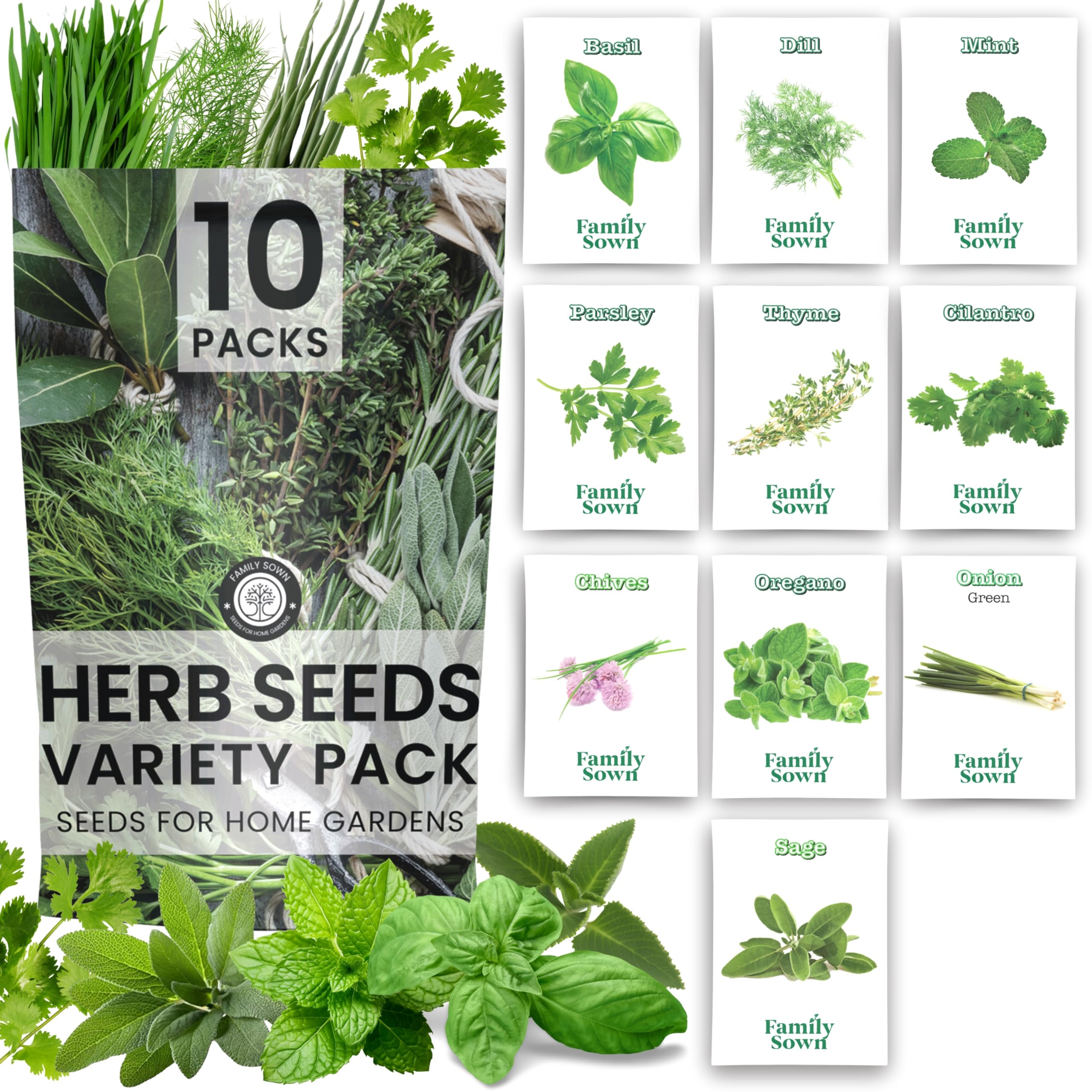 Semillas de hierbas | 10 paquetes individuales | Temporada 2025 | Sin OMG | menta, perejil, albahaca, tomillo y más. | para plantar en interiores y exteriores | por