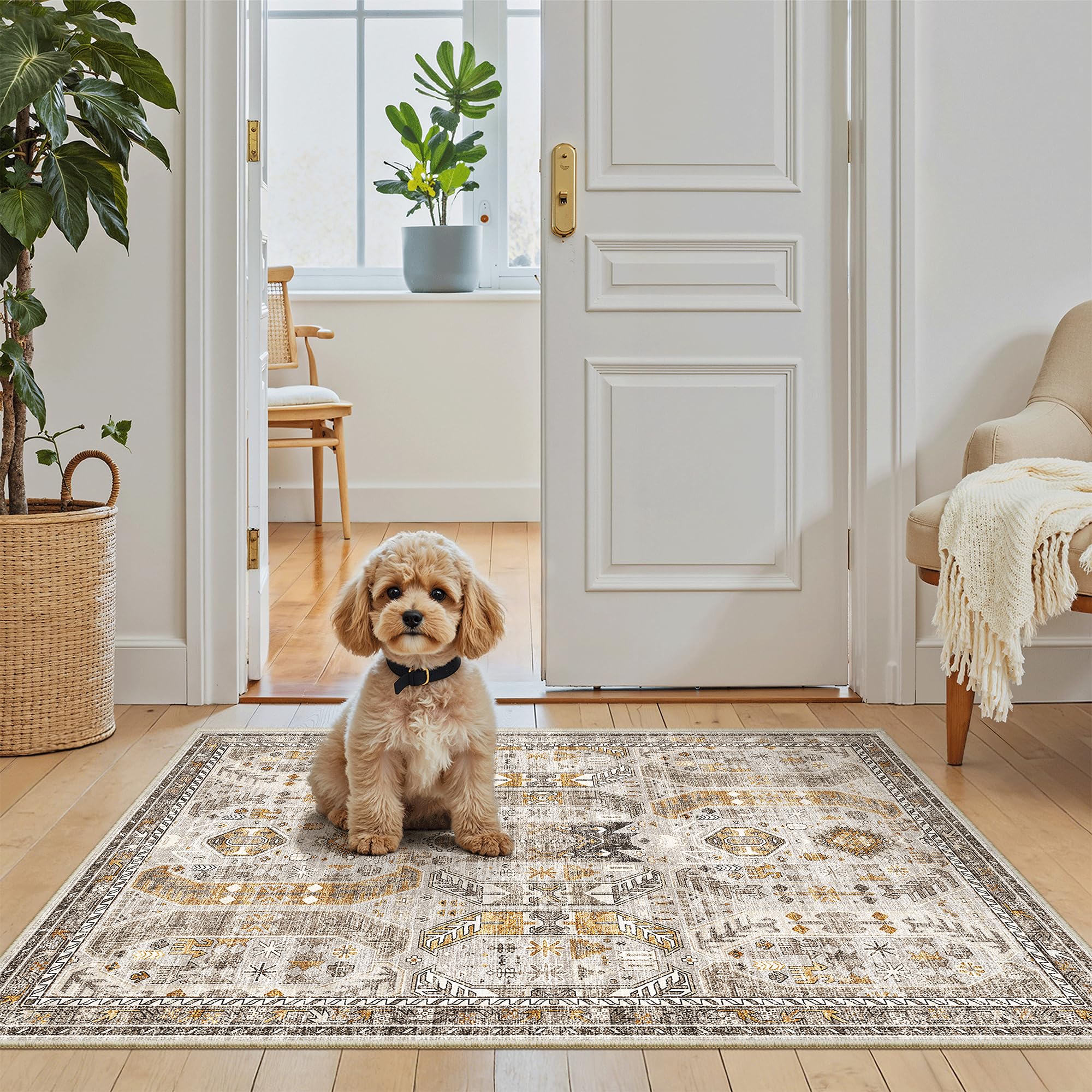 Madane Washable Area Rug 2x3, Small Entryway Rug Non-Slip Vintage Door Mat Indoor Entrance, Low Pile Floor Carpet for Inside Front Door Bedroom