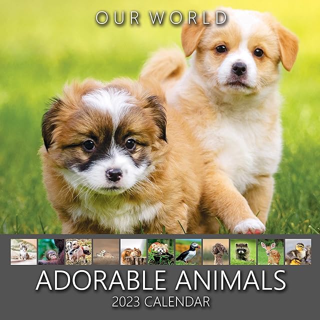 Our World Adorable Animals Wall Calendar 2023 - Large Family Planner & Daily Organiser with Monthly Animal Calendar Image - Gift, Christmas Stocking Filler & Slim Design 2023 Wall Planner