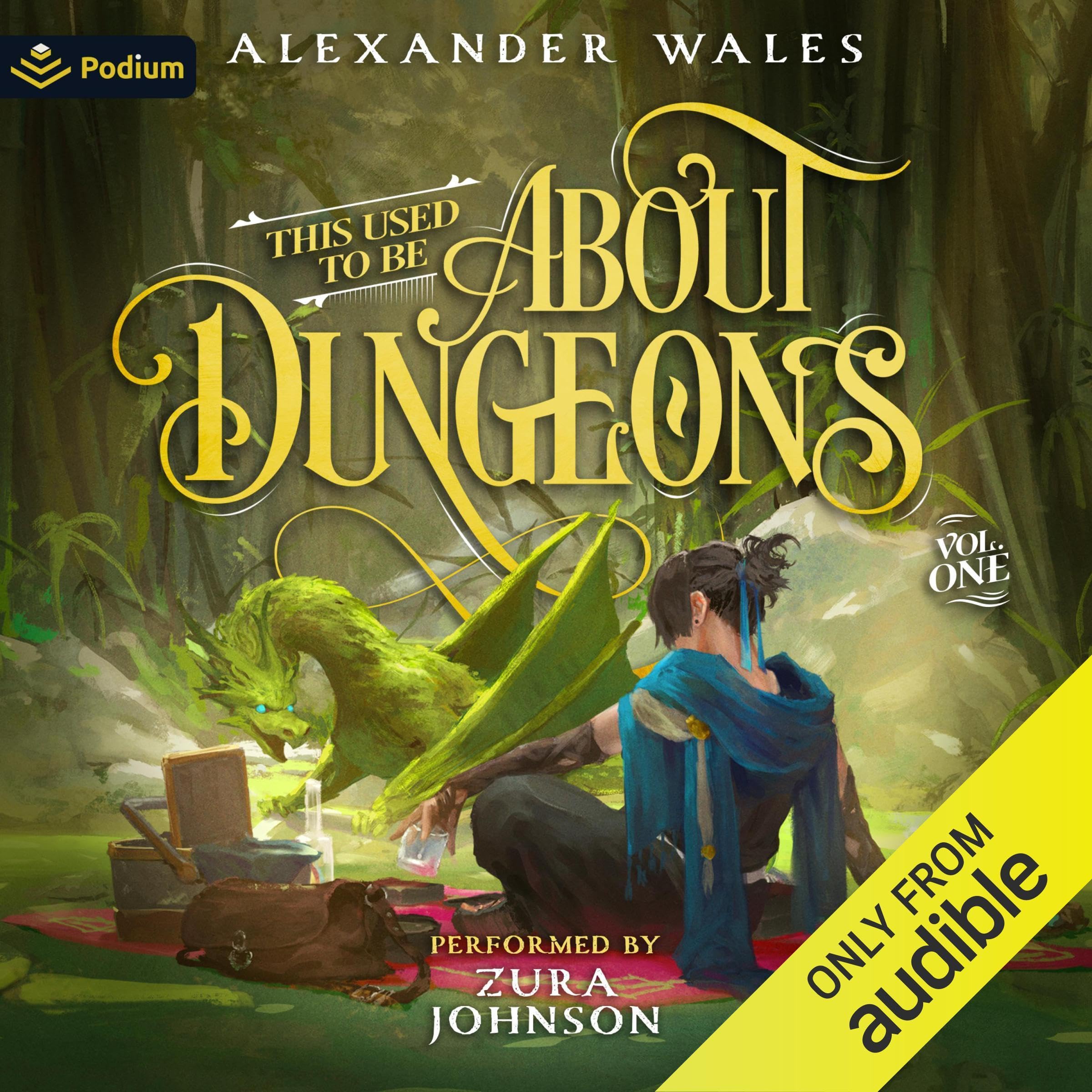 This Used to Be About Dungeons: Volume 1: This Used to Be About Dungeons, Book 1