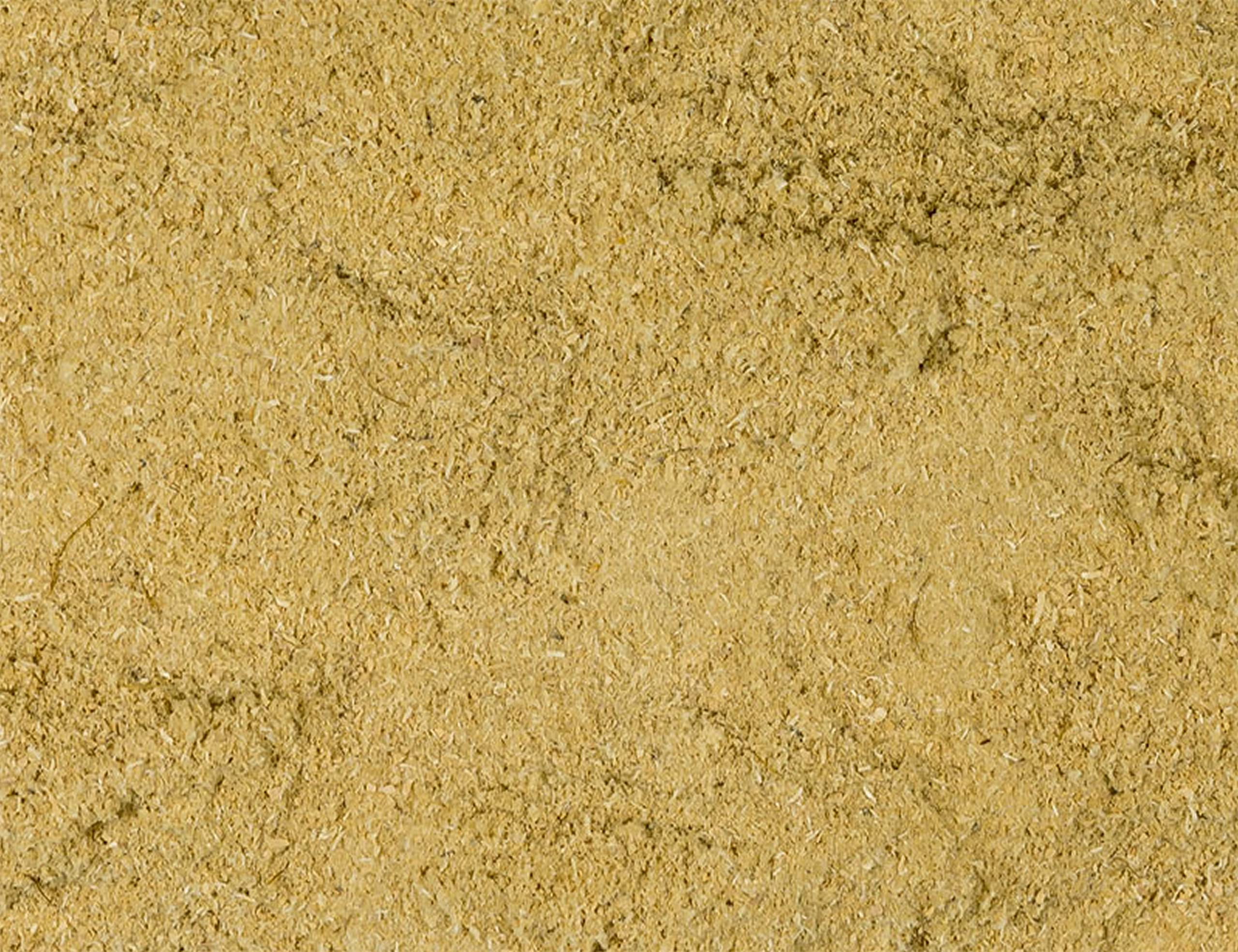 Grünlippmuschelpulver Katze gut für Knochen Gelenke Sehnen Haut Fell Natur pur Top Qualität natürliche Taurinquelle reines Grünlippmuschelpulver Glycosaminoglycane (Gag) hohe Bioverfügbarkeit 100g