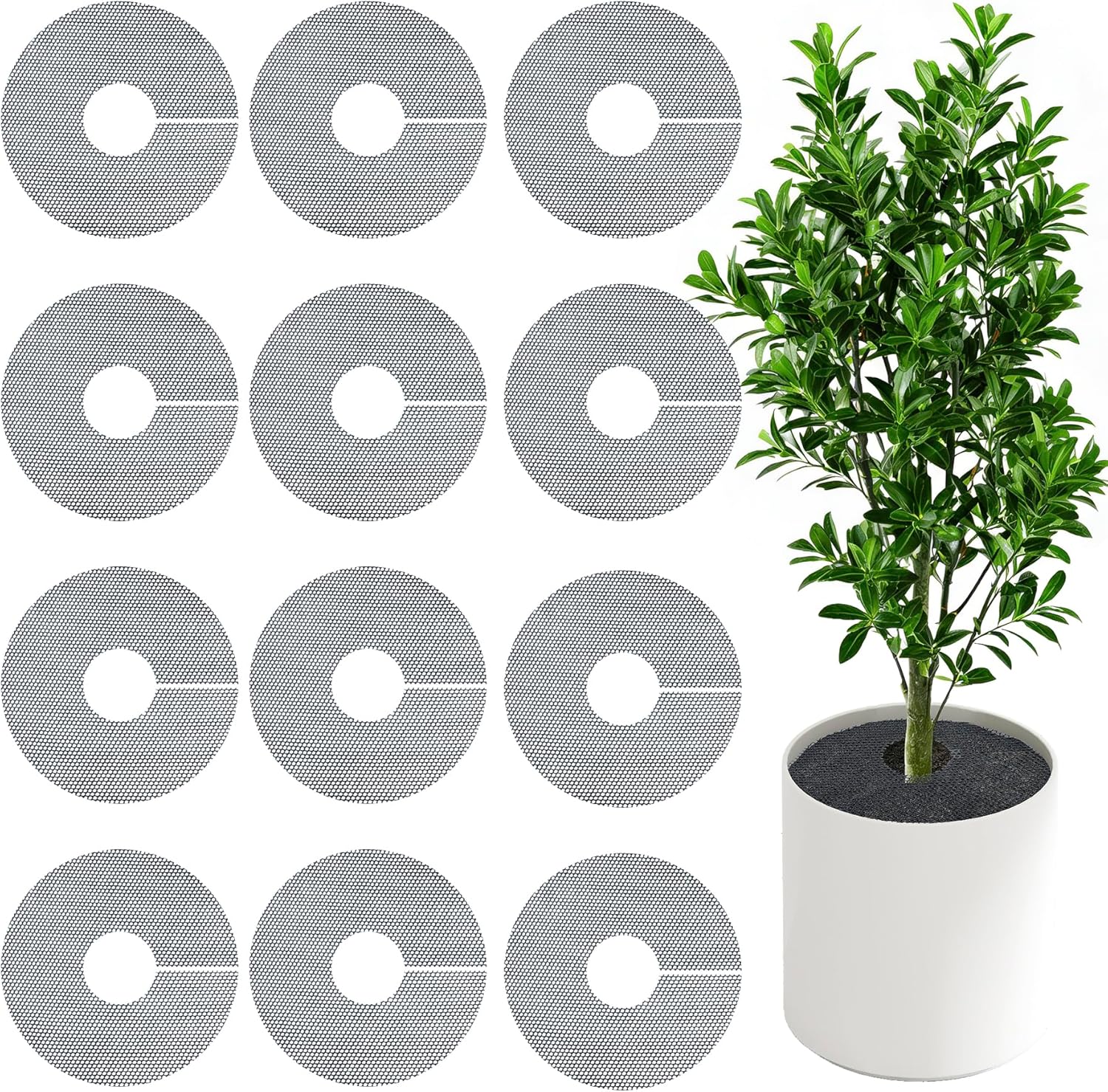 4 Pack Plant Pot Grids - 15.7 Inch Cuttable Soil Cover Protector from Cats, Animals Digging Stopper, Indoor Plant Pot Soil Guard for Outdoor Garden Balcony