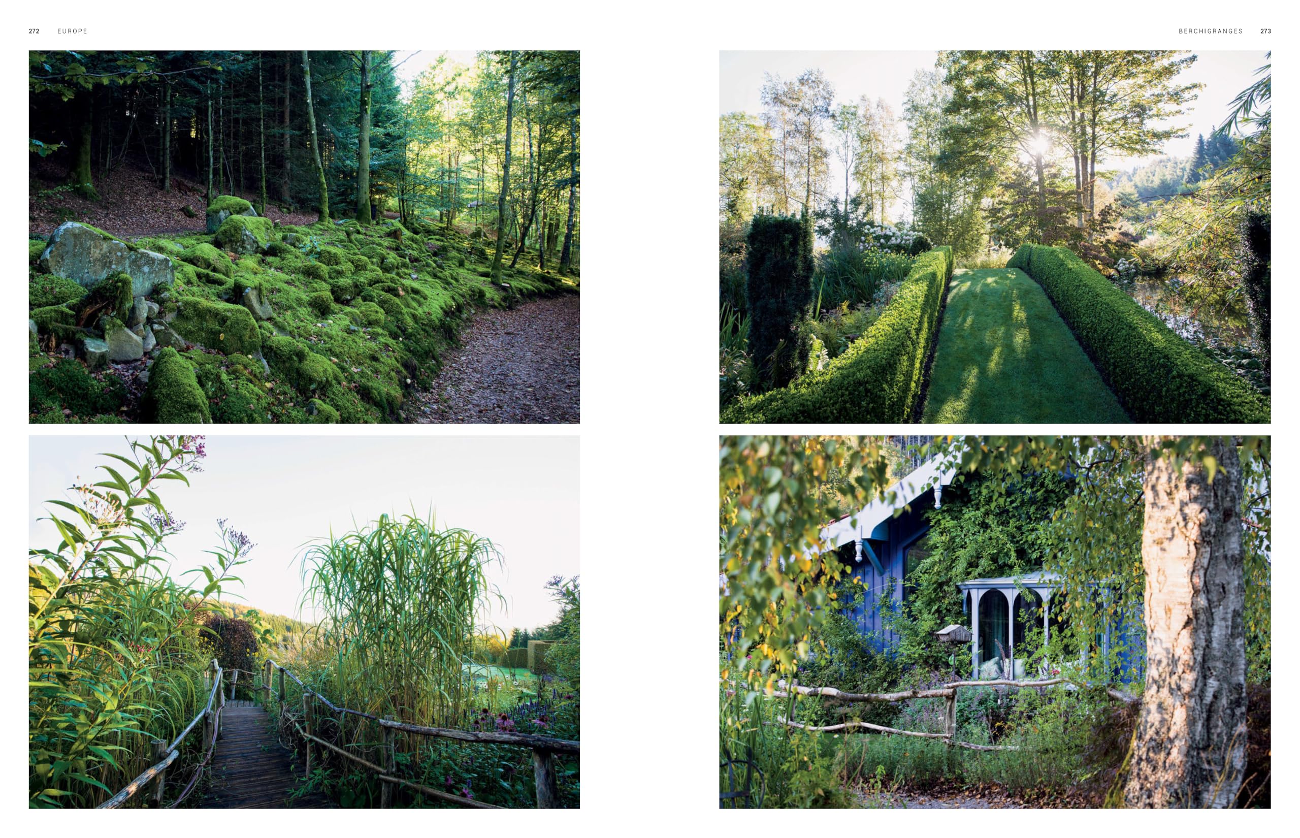 Dreamscapes. Inspiration And Beauty In Gardens Nea: Inspiration and beauty in gardens near and far