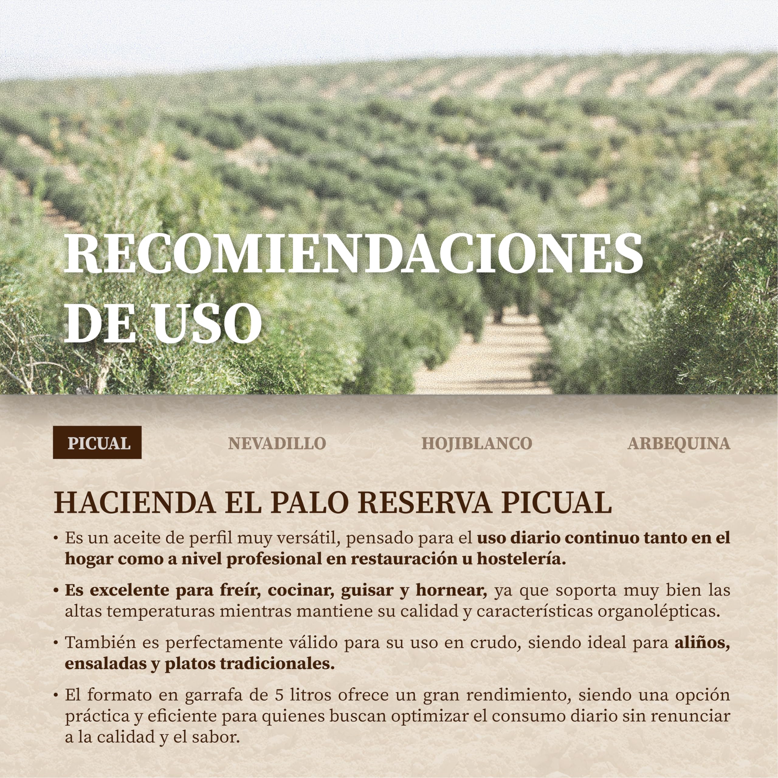 Aceite de Oliva Virgen Extra 5L Garrafa Reserva by Hacienda el Palo - AOVE de Jaén - Extracción en Frío - Sabor Equilibrado y Versátil - Ideal para Cocinar, Freír y Uso Diario - Especial Hostelería
