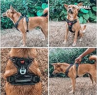 Vista 6 de Tuff Pupper Arnés para perro sin tirones, chaleco resistente para mascotas, clips para correa delantera y trasera, mango de seguridad fuerte