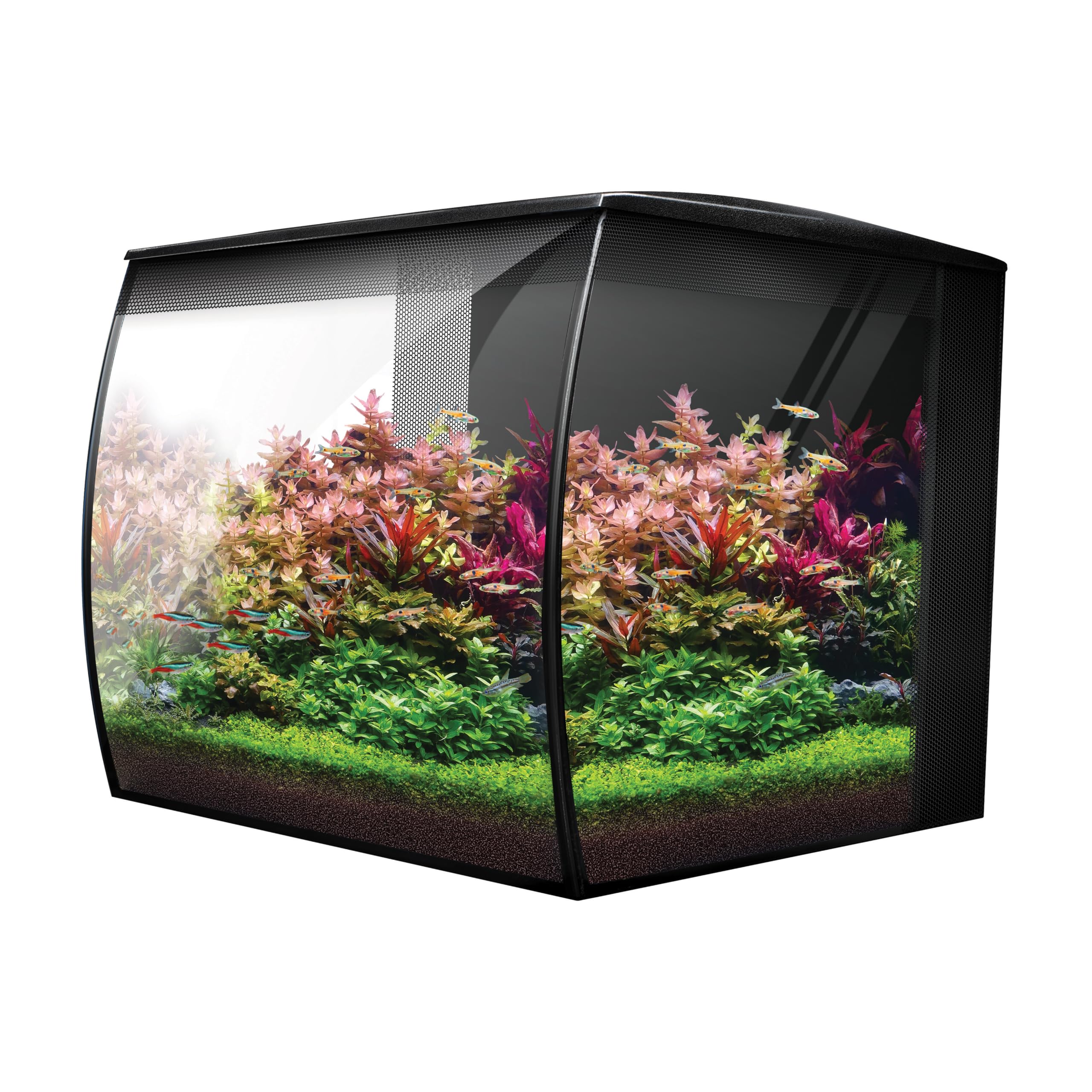 Fluval Flex 2.0 Aquarium Set 34 L, Nano Aquarium Komplettset mit geschwungener Frontscheibe, LED Beleuchtung mit Fernbedienung, integriertes 3-Stufen-Filtersystem, Fütterungsklappe und Düsenstrahlrohr