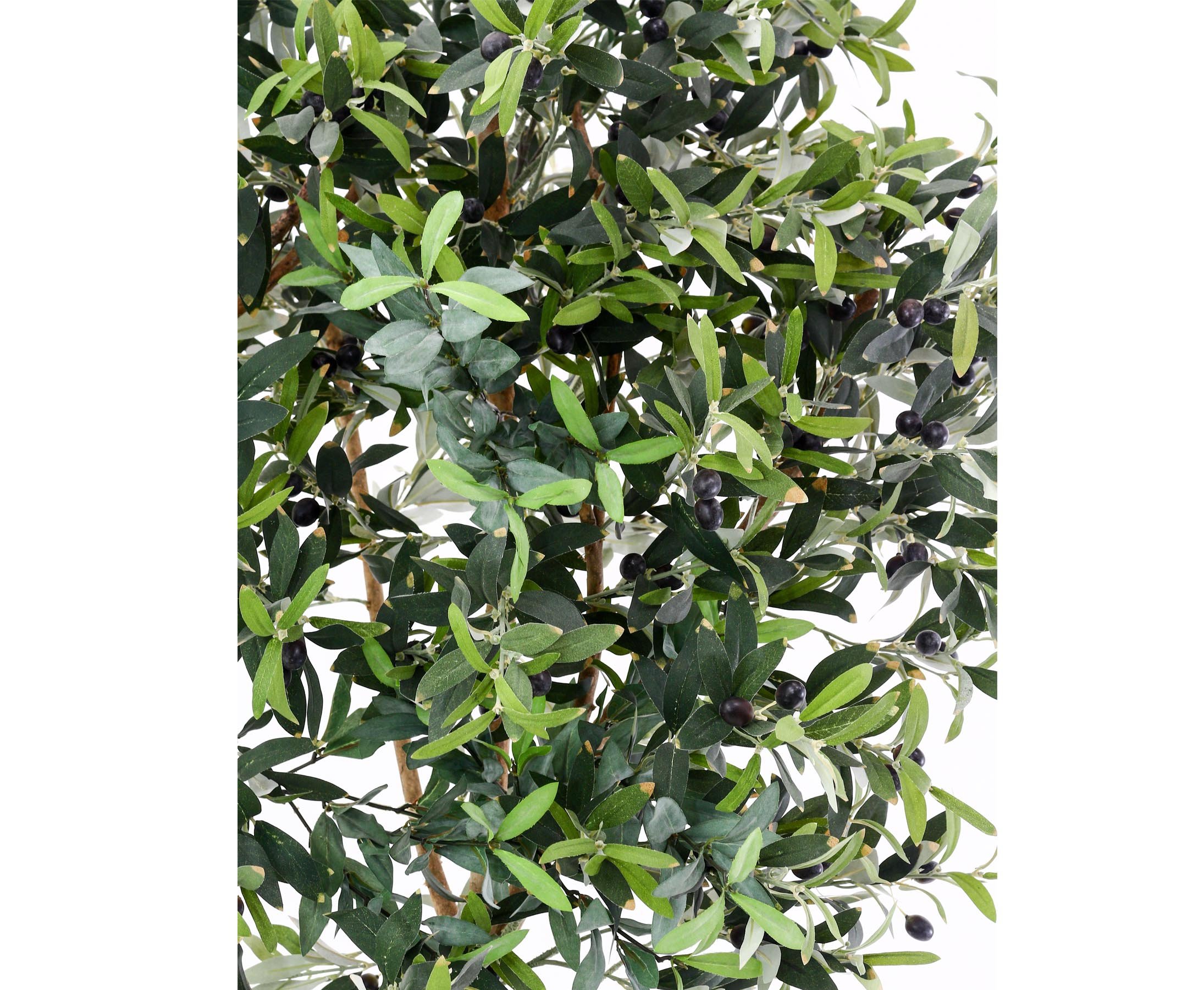 Aceitunas de 175 cm Algodón con 2560 Fibra Textil Hojas y Natural Troncos