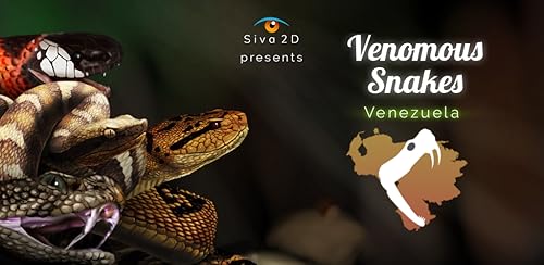 Siva 2D presents Venomous Snakes Venezuela