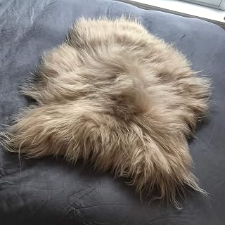 Wildash London – Icelandic Sheepskin Rug - Gorgeous Honey Gold Colour, 100% Natural LARGE 100cm