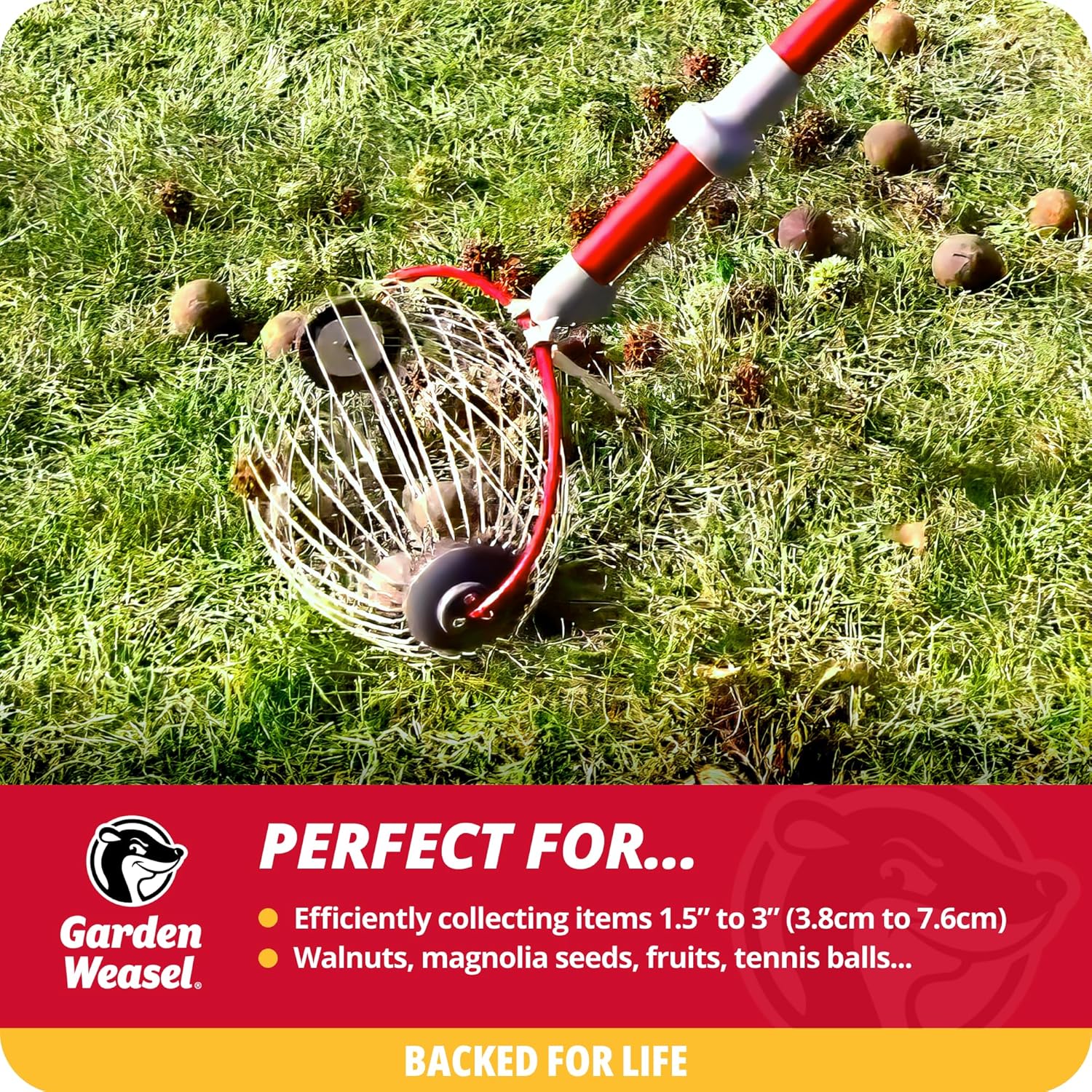 Garden Weasel Nut Gatherer - Large Cage Pick Up Walnuts, Small Apples, Citrus Fruits, Tennis Balls Nut Collector and Picker Upper Roller with Cage Spreader 95404
