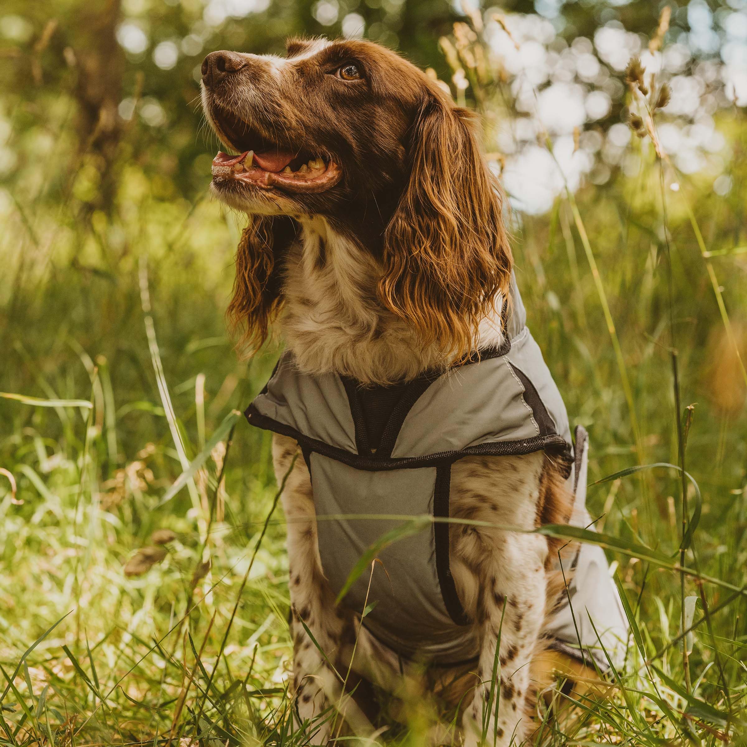 WeatherBeeta ComFiTec Reflective Dog Coat Medium, Silver, 50cm - Image 4