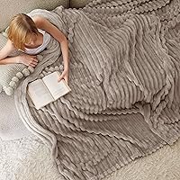 Vista 381 de Bedsure GentleSoft Twin Blanket for Couch - Cozy Soft Blankets for Women, Cute Small Fleece Throws for Girls, Light Grey, 60x80 Inches