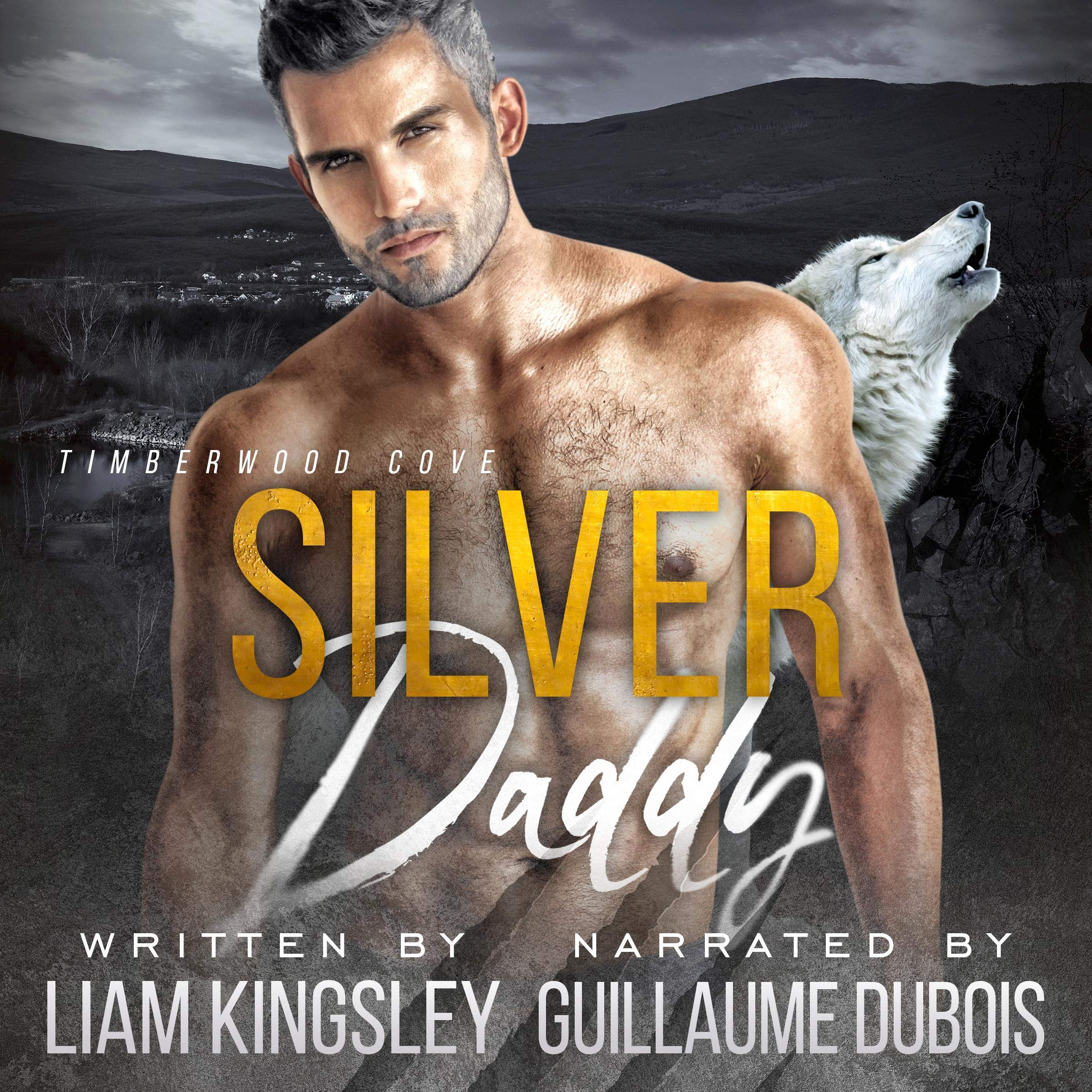 Cover art for Silver Daddy