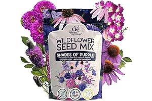 Wildflower Seeds Bulk: 100,000+ Non-GMO, Pollinator-Friendly Flower Seeds for Vibrant Gardens