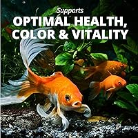 Vista 17 de TetraFin - Alimento equilibrado para dieta de peces dorados para una salud óptima