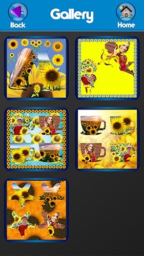 Colagem de fotografia de girassol