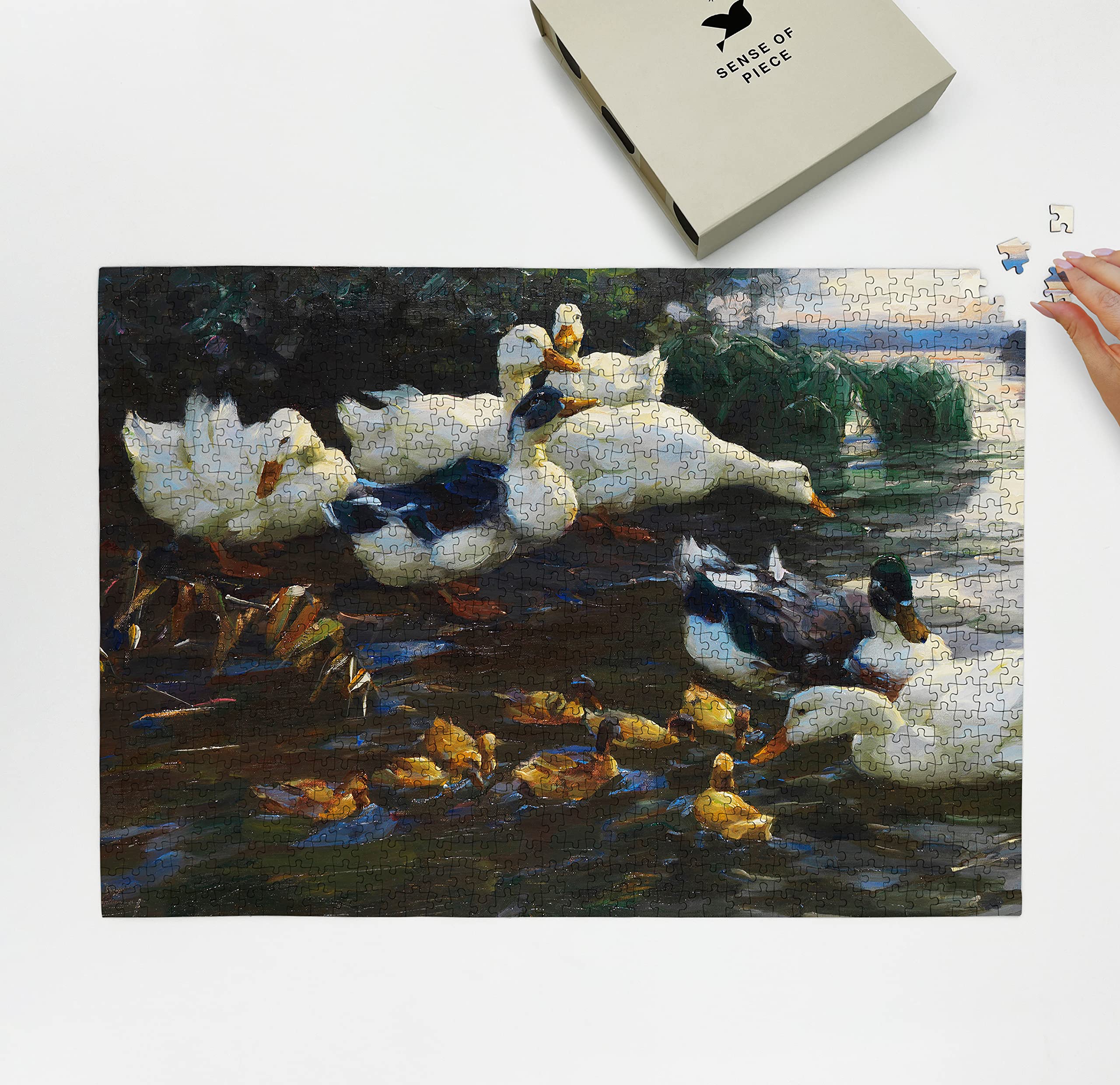 Amazon | 1000ピース - 美術館絵画 - ジグソーパズル - 水の中のひよこ