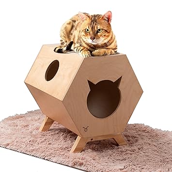 Ants N Toys Birch Plywood with Smooth Laminate Modern Cat Cave Pet House, Wooden, (H 20