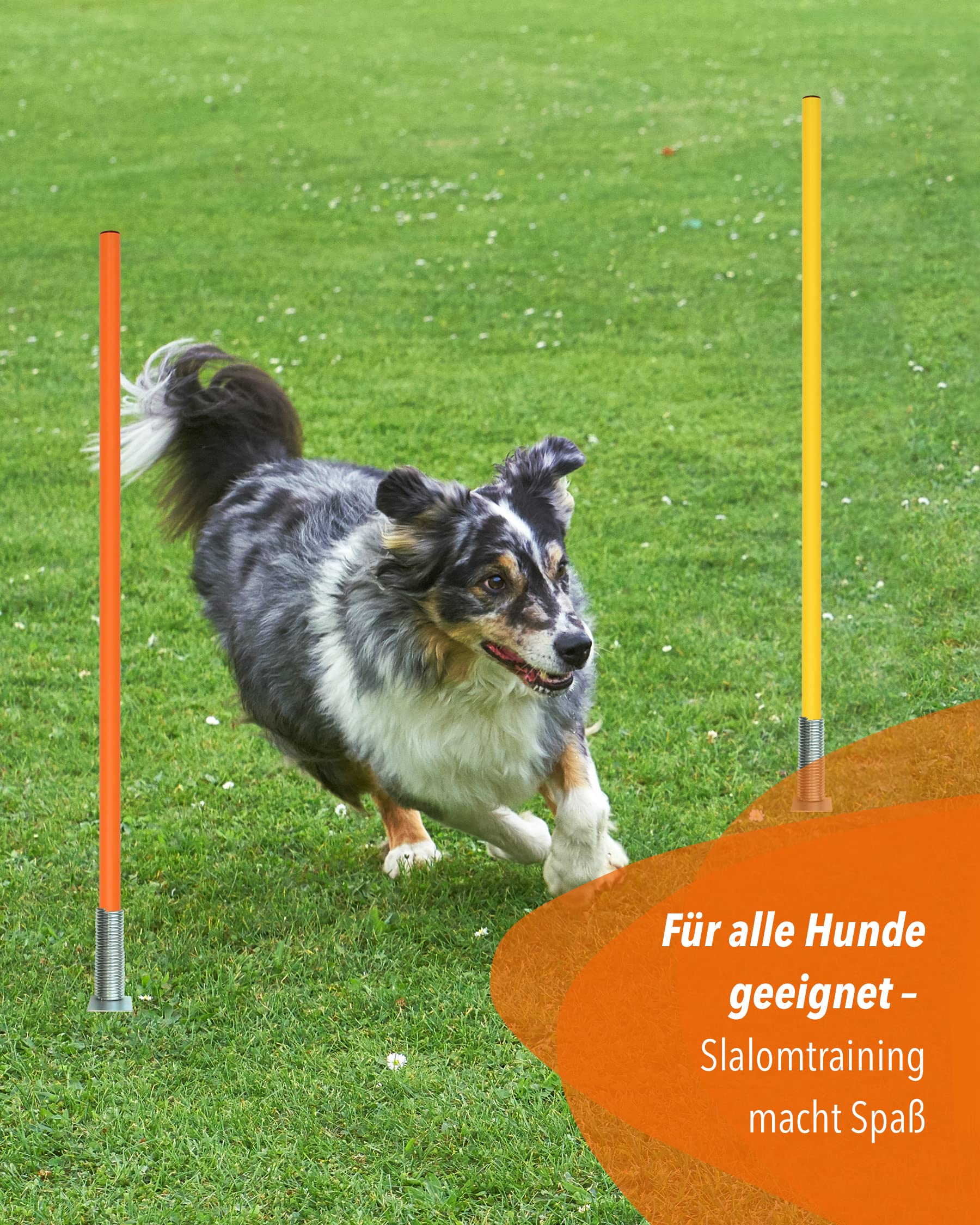 Kombi-Kippfuß aus Metall mit Slalomstange 100 cm – 4er Set – Stange mit Federgelenk – Slalom- & Koordinationstraining – für Fußball, Leichtathletik & Hundesport – Agility-Stangen