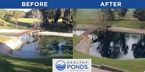 Healthy Ponds Aquasphere Pro Biodegradable Pond Treatment, Treats up to 500,000 Gallons