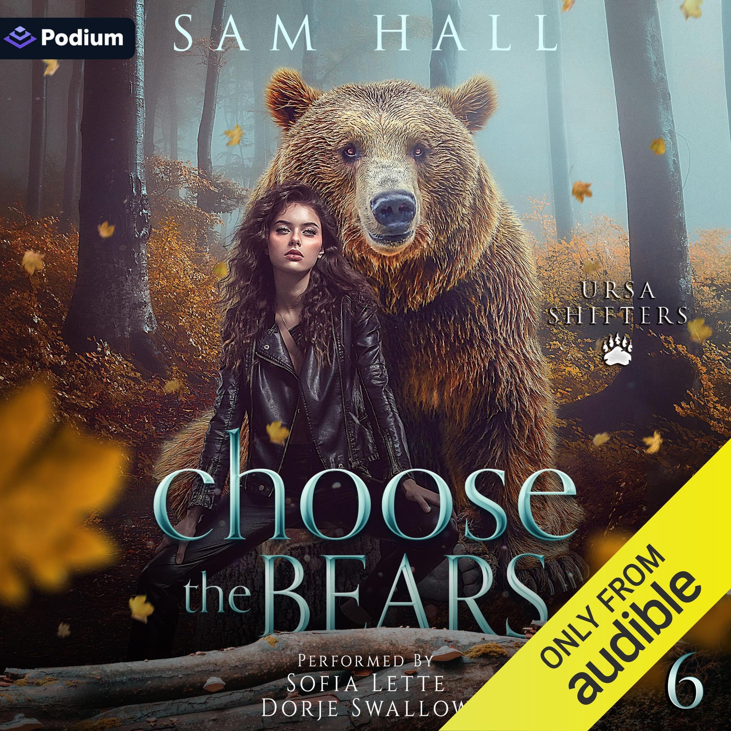 Cover art for Choose the Bears