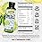 Barlean\'s Omega 3 Fish Oil Liquid Supplement for Men and Women, 1500mg of EPA and DHA Fatty Acid, Promotes Brain & Heart Health - Non-GMO, Key Lime Pie, 8 oz