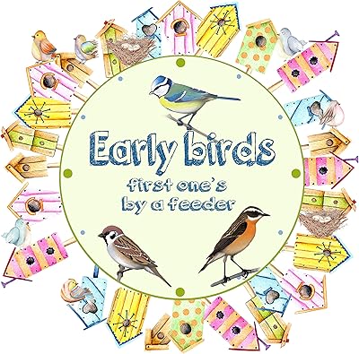 Lazy stream flowing and a whinchat singing