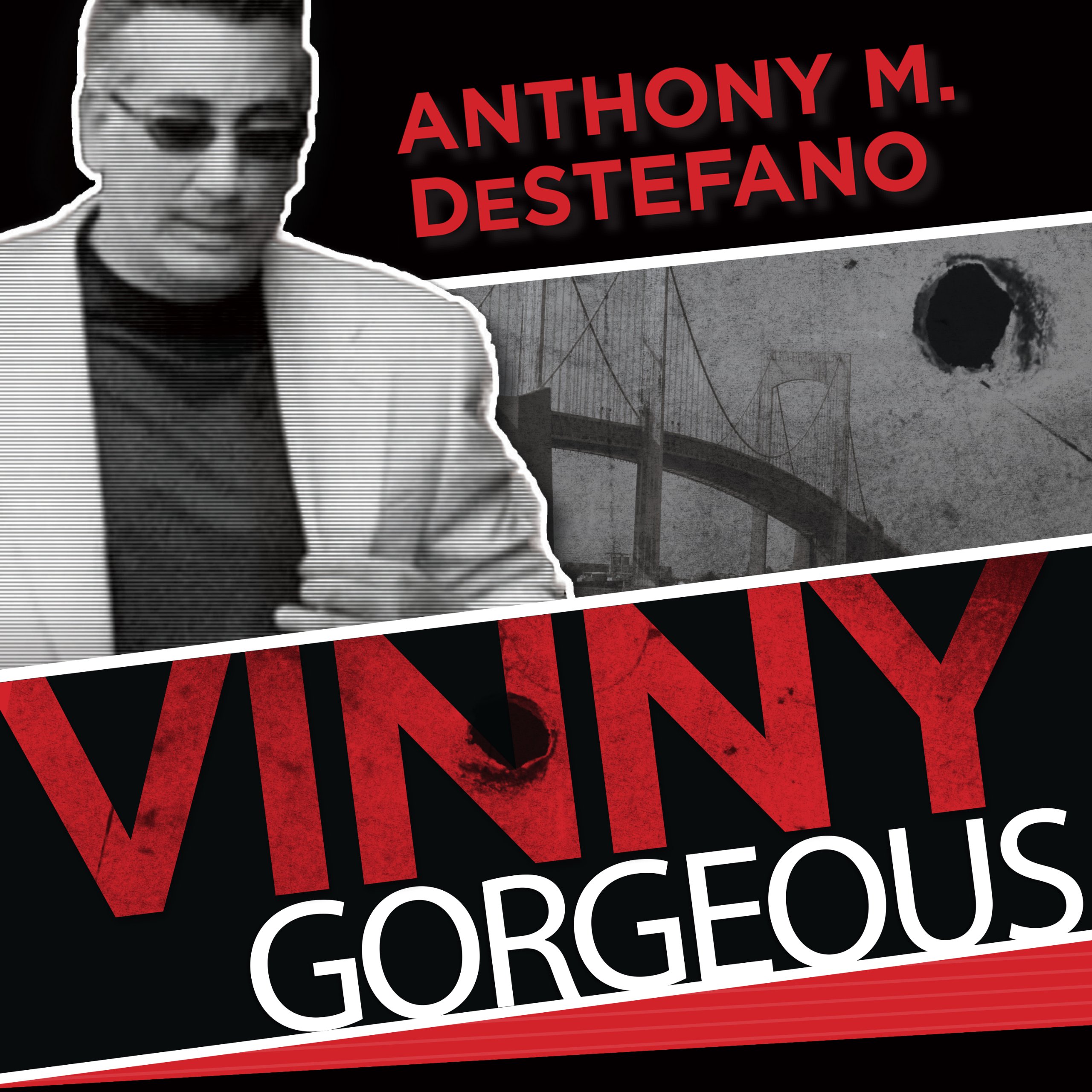 Cover art for Vinny Gorgeous