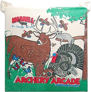 Morrell Youth Archery Arcade Field Point Bag Archery Target - for Traditional or Youth Bows 30lbs and Less