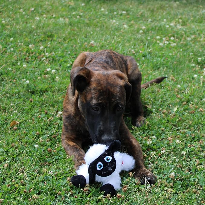 Pelota de perro de felpa Baa Baa Black Sheep - Peluche adorable con cencerro para perros pequeños, 8 pulgadas negro y blanco miniatura 2