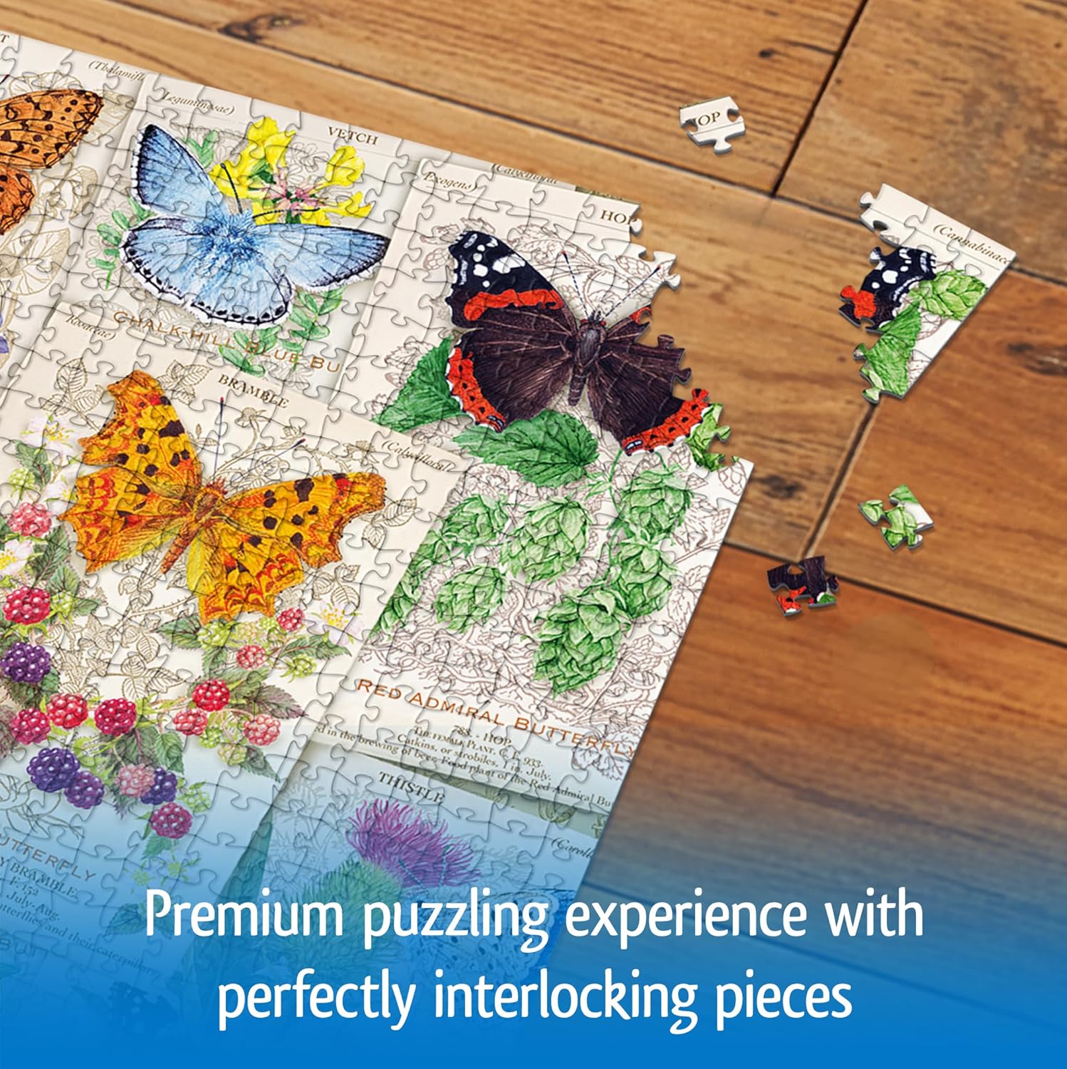 Wonder Forge Butterfly Splendor 1000 Piece Jigsaw Puzzle for Adults | Unique, Perfectly-Fitting Pieces | Fun, Vibrant Imagery | Amazon Exclusive