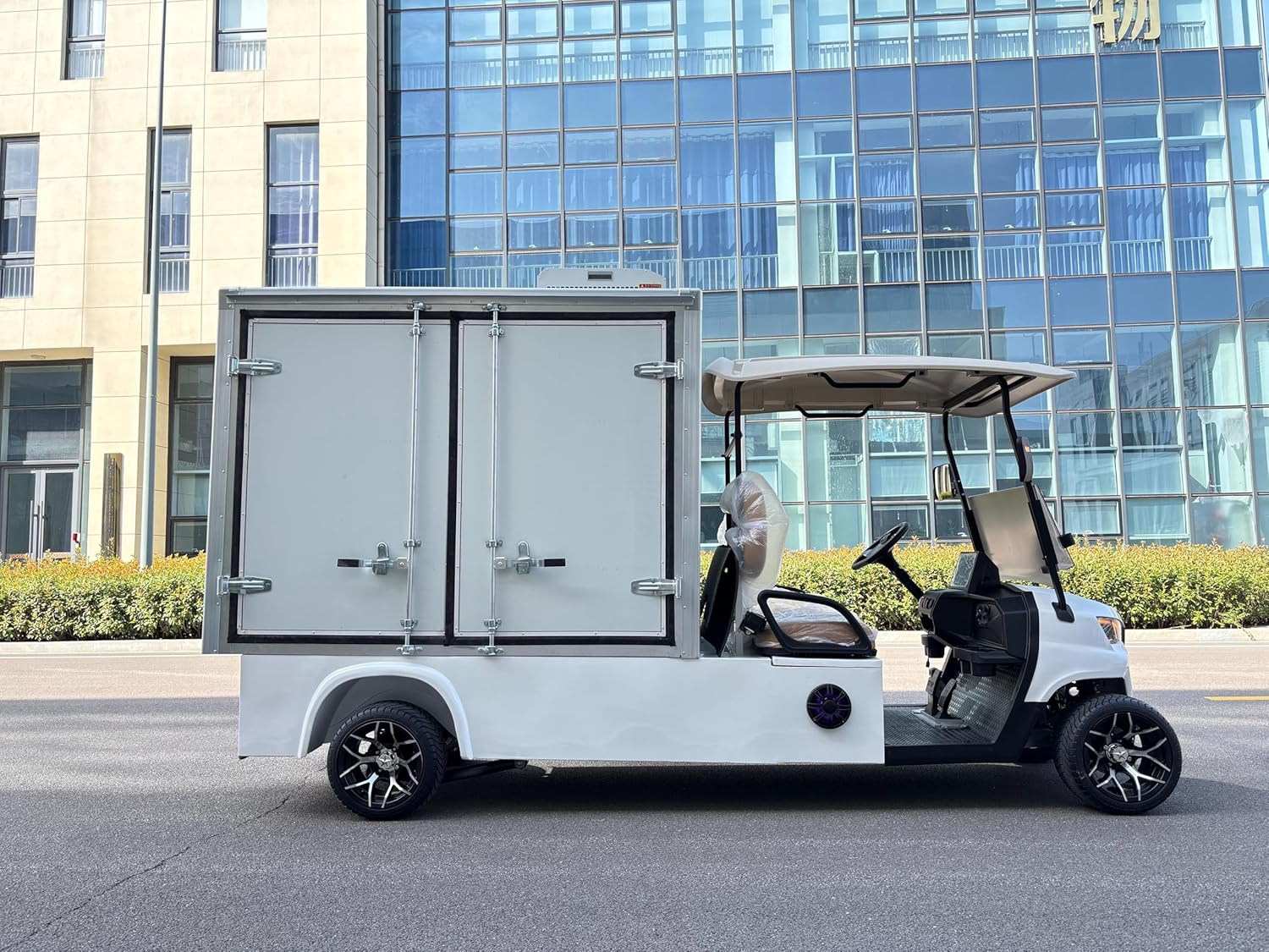 GO UP 2-Seat Golf Cart with Cargo Box, Electric Utility Golf Cart for Golf Course/Community/Resort, Lightweight & Durable, Easy to Operate, High Load Capacity