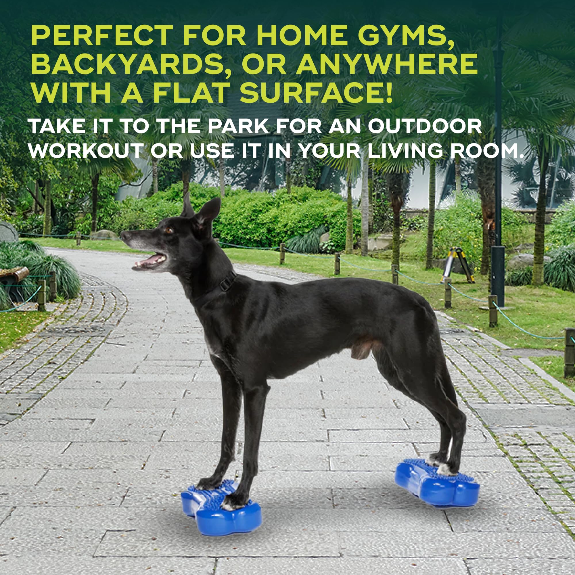 Amazon | Mini FitPAWS® K9FITbone CanineGym® ドッグバランス