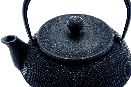 Iwachu Nambu Tetsubin Hobnail Black Cast Iron Teapot
