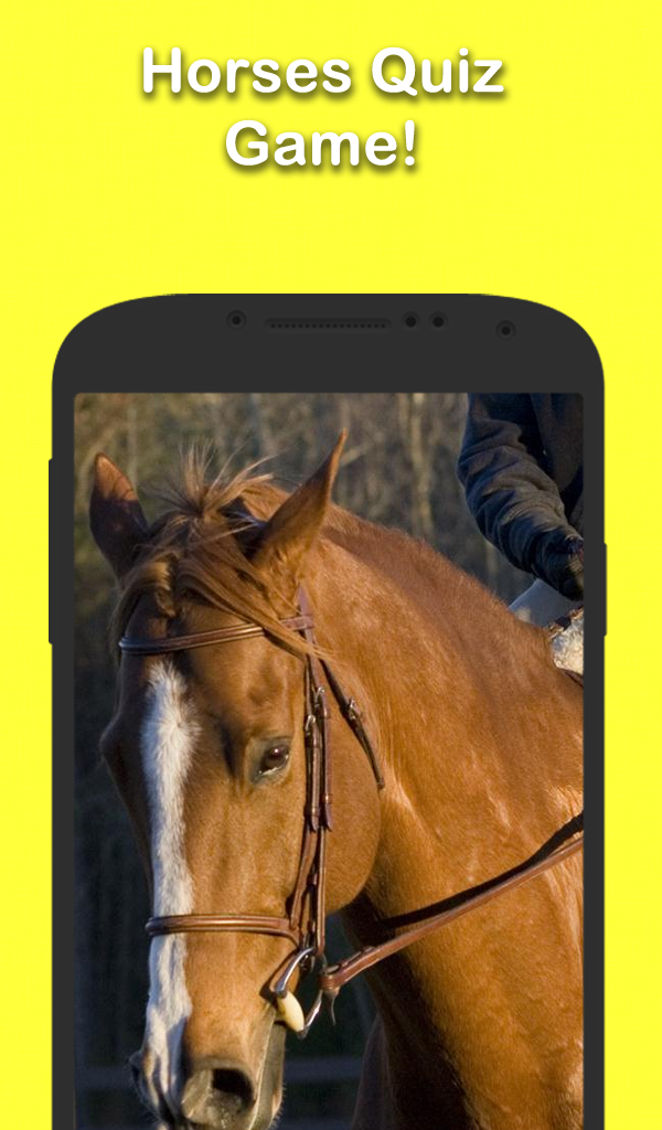 Horses Quiz GameAmazon.inAppstore for Android