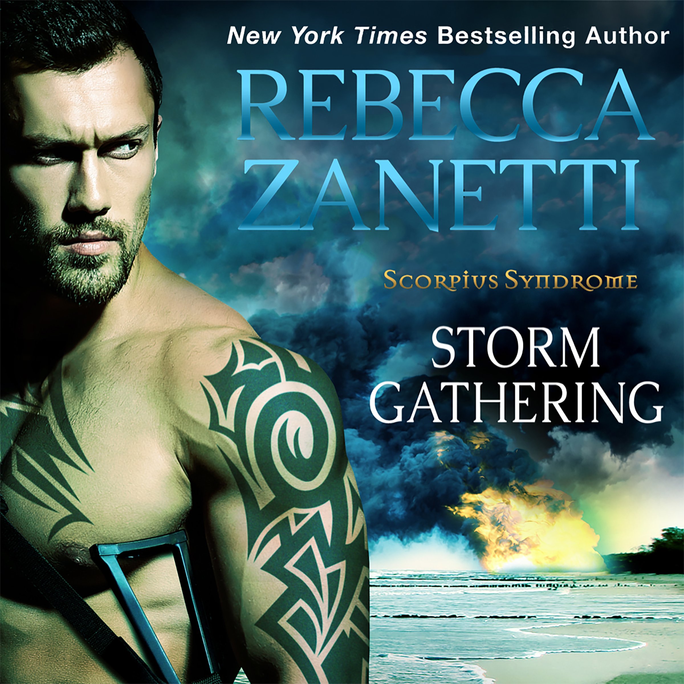 Cover art for Storm Gathering