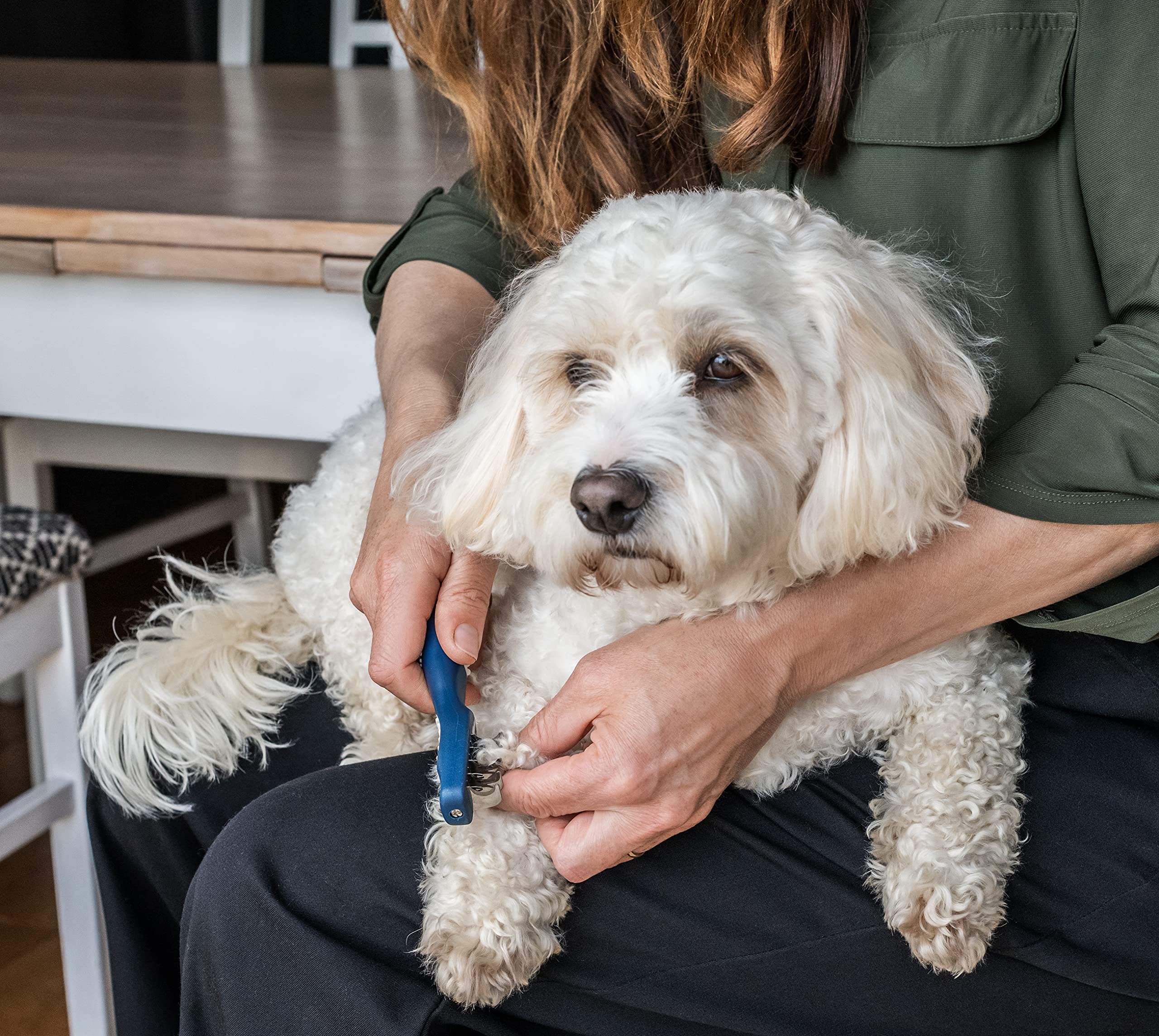 Mikki Doodles - Strumento per la toelettatura del cane, lame micro seghettate trattate termicamente, uso con mano sinistra e destra, per barboncini, taglia unica
