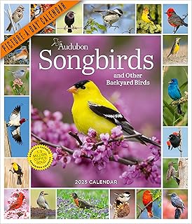 Audubon Songbirds and Other Backyard Birds Picture-A-Day® Wall Calendar 2025