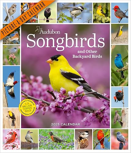 Audubon Songbirds and Other Backyard Birds Picture-A-Day® Wall Calendar 2025