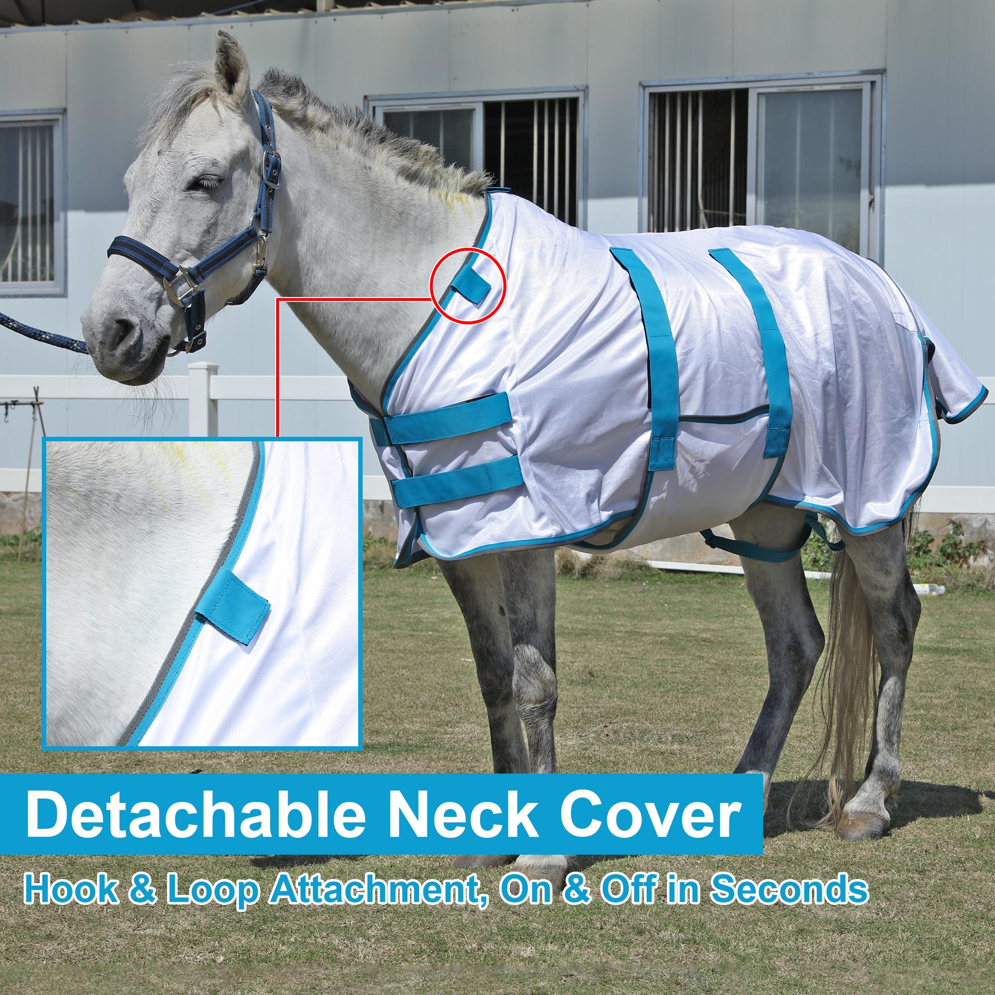 LEAFOREST Sábana de caballo en miniatura con cubierta para el cuello y banda para el vientre | Sábanas de verano de malla transpirable con protección UV para mini caballos, potros, burro, blanco, 147 cm