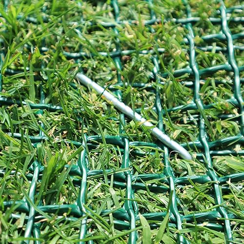 Miniatura 6 de Tenax TR 1A130210 - Red de protección para césped (7.9ft), color verde