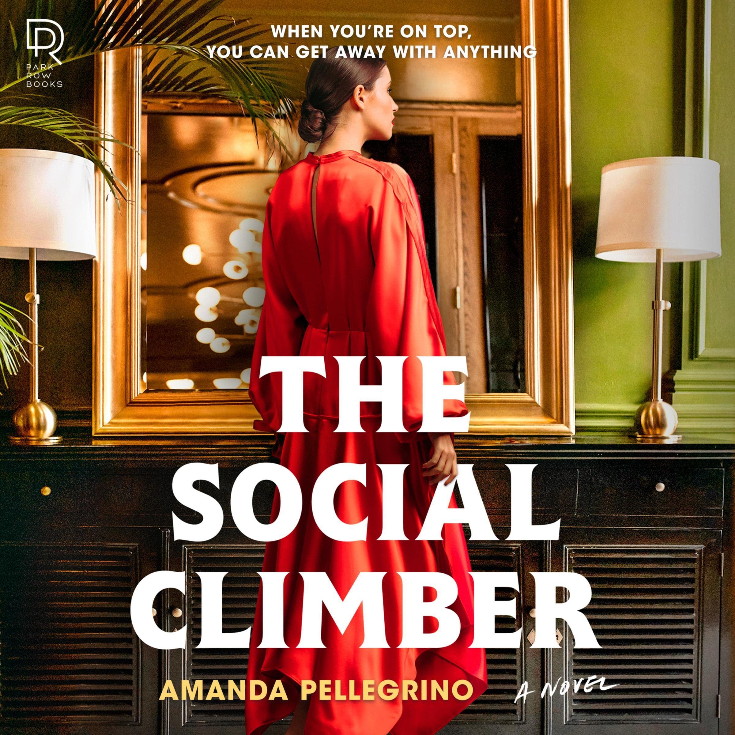 Cover art for The Social Climber