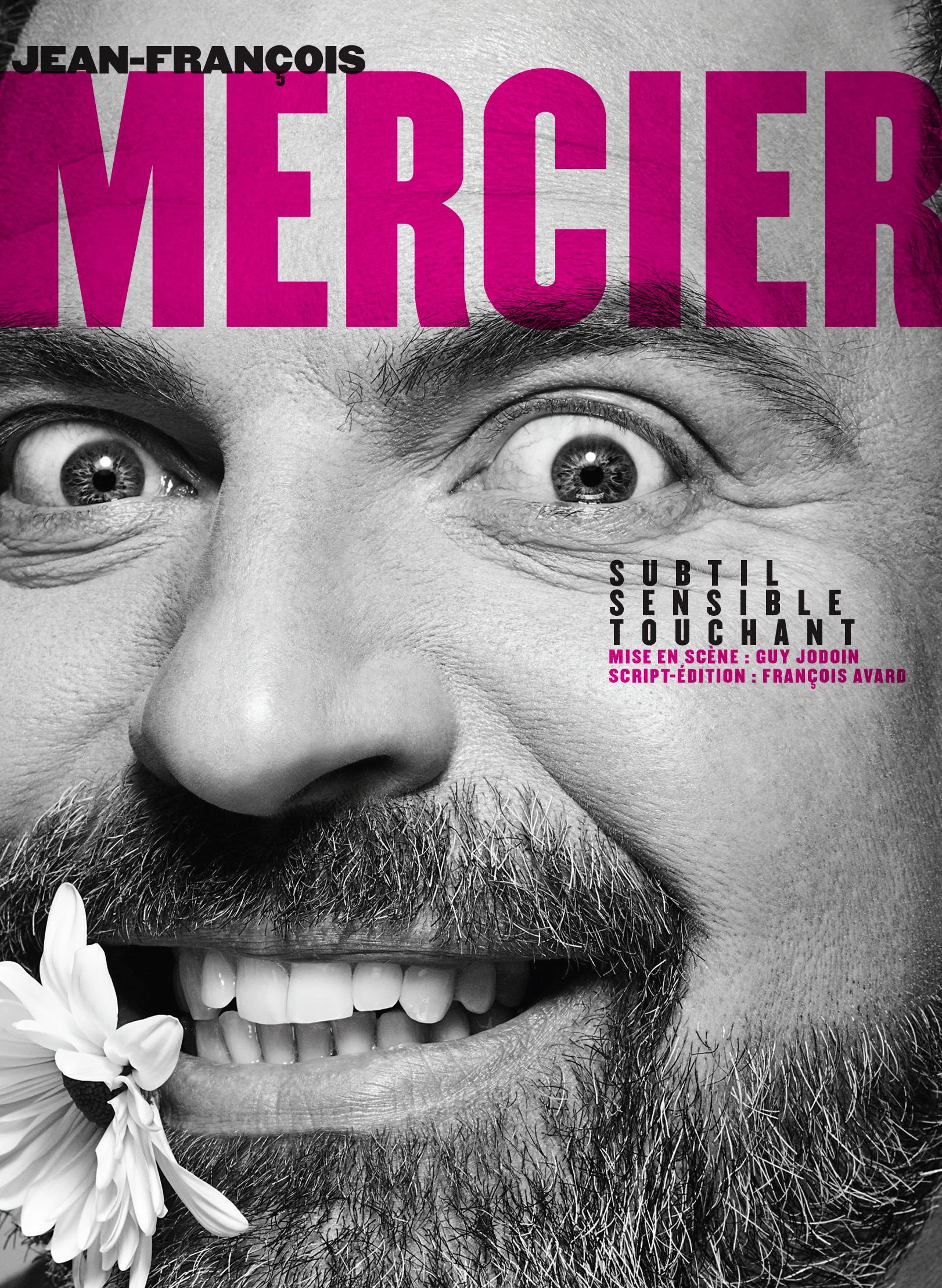 Jean-François Mercier: Subtil sensible touchant (Version française) [DVD]