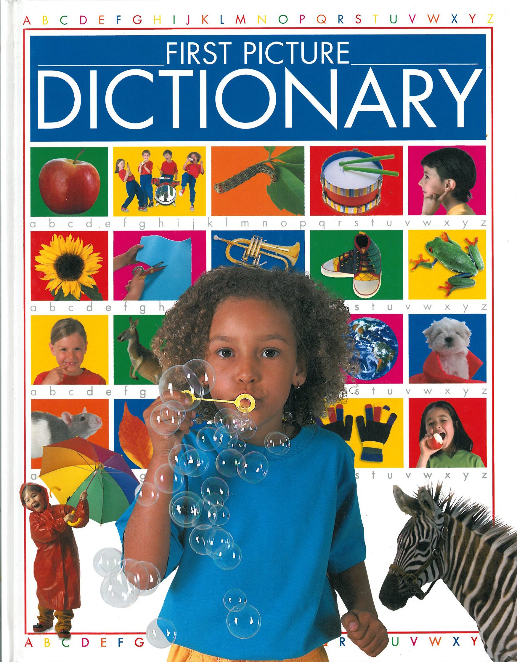 Buy First Picture Dictionary — BookShops.in