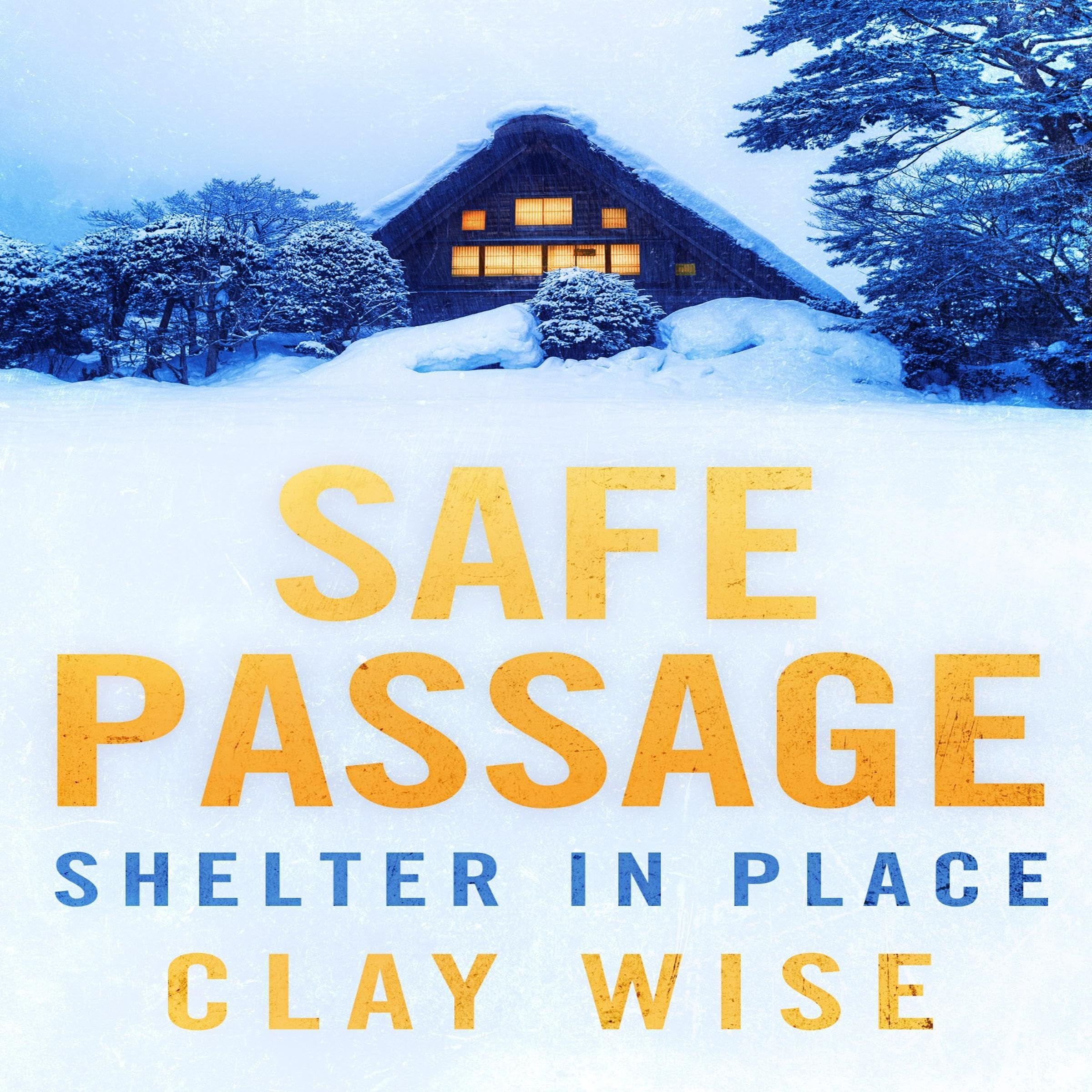Cover art for Safe Passage: Shelter in Place