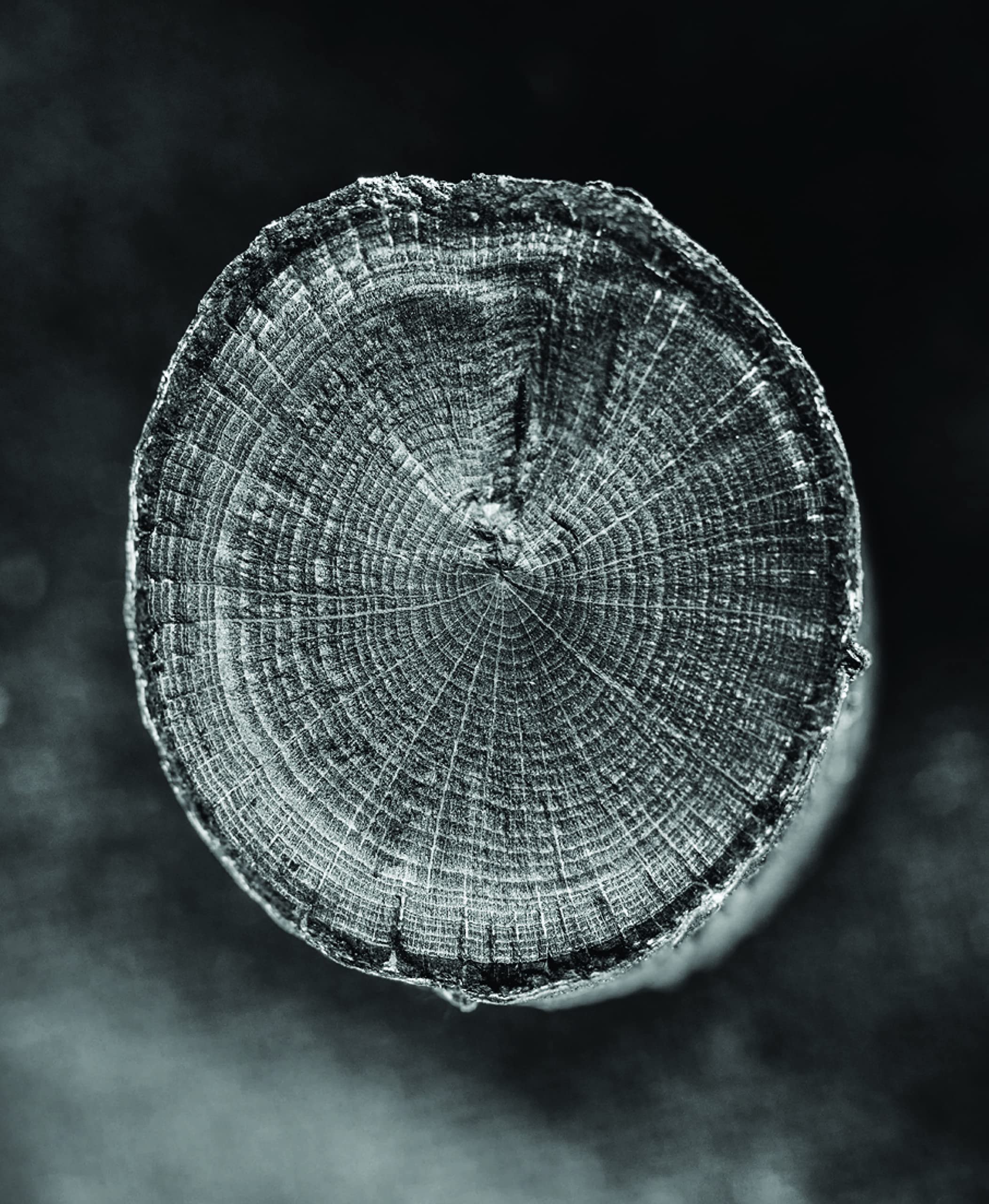 Charbonniers !: Alchimie entre art, mémoire et environnement