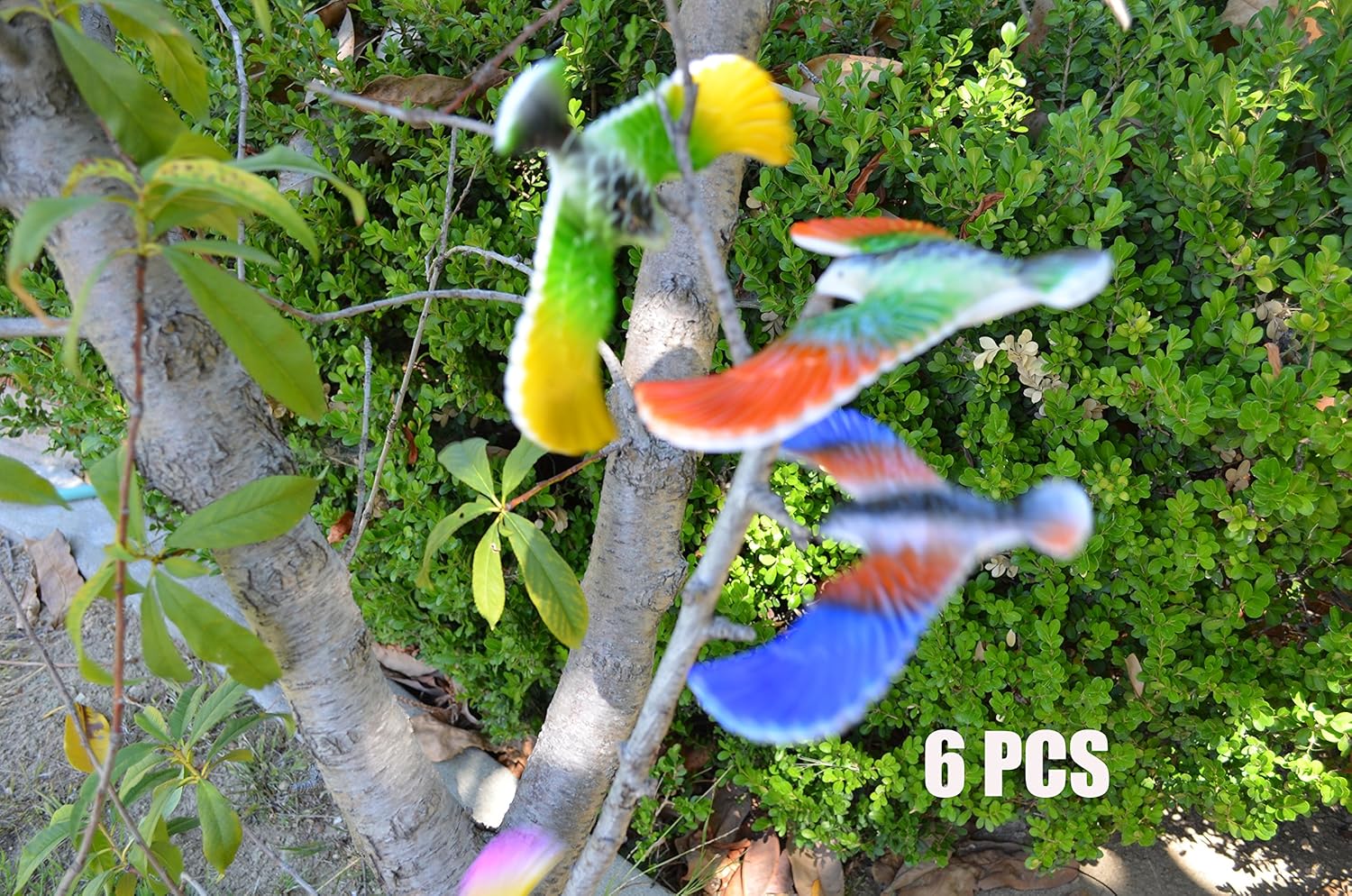 C&H Solutions 6 Pcs Balancing Bird of CNH Toy 6.5 Inch Wing